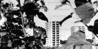 Wiezowce na ul. Wita Stwosza w Oliwie. 09.1962 odb_03_184...