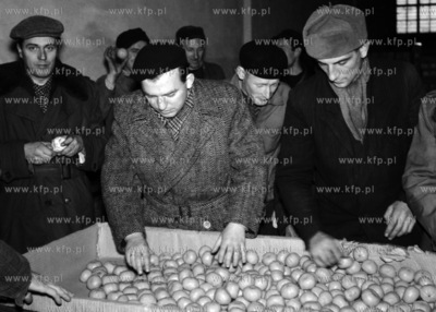 Punkt kontroli cytrusów w Gdyni. ( lata60 )
1965
0005945z_gdynia
Fot....