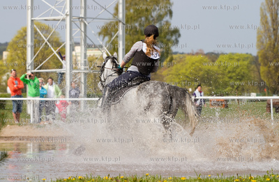 Drugi dzien Wszechstronnego Konkursu Konia Wierzchowego...