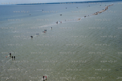 Marsz Sledzia odbywa sie Rybitwia Mielizna (Rewa Mew)...