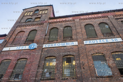 Botaniczny Pruszcz. Spacer badawczy śladem roślin...