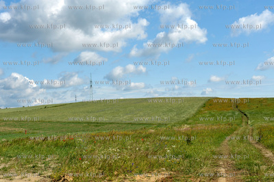 Gdansk, Szadolki, pola obok ul. Stezyckiej. Tereny...