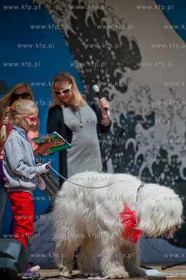 Sopocki Rynek Artystyczny i Ludowy Sopotello. Psia...