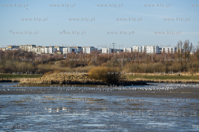 Gdansk. Pracowinicy Gdanskich melioracji oproznili...