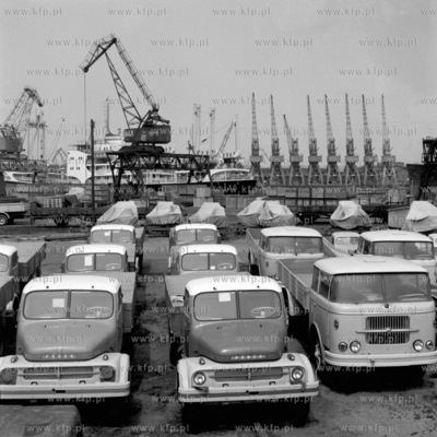 Samochody przeznaczone na eksport oczekują na załadunek...