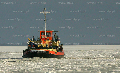 Szczecin. Wspolna akcja polskich ( Dzik, Lis, Swistak...