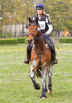 Drugi dzien Wszechstronnego Konkursu Konia Wierzchowego...