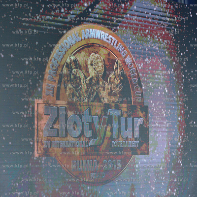 Hala Sportowo - Widowiskowa w Rumi. XV edycja Pucharu...