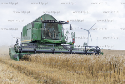 Żniwa we wsi Lignowy w powiecie Tczewskim na Kociewiu.
30.07.2019...