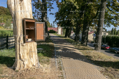 Biblioteczka w wyschniętym drzewie nad Kanałem Raduni...