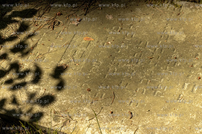 Cmentarz dawnej gminy żydowskiej w Skarszewach, założony...