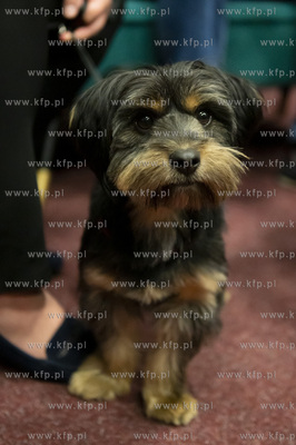 46. Festiwal Polskich Filmów Fabularnych w Gdyni....