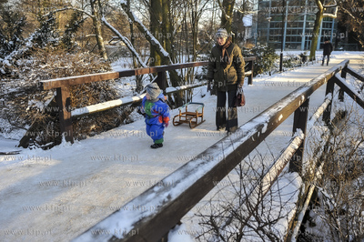 Zima w Parku Oliwskim. 05.01.2008 fot. Maciej Kosycarz...