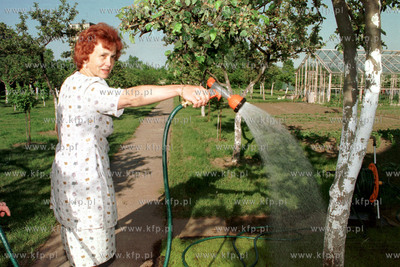 Danuta Walesowa w ogrodzie swojego domu przy ul. Polanki...