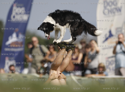 Sopot. Hipodrom. Zawody Frisbee - latajace psy za latajacym...