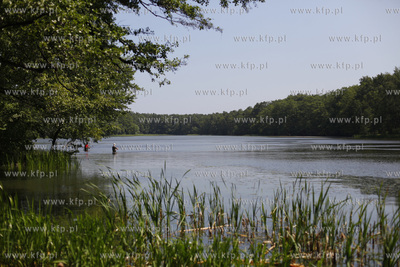 Pusty Staw - jezioro na gdanskich Stogach.
30.05.2011
fot....