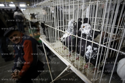 Gdansk. Międzynarodowe Targi Gdańskie. Bałtycka...