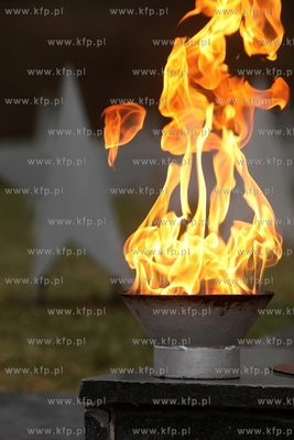 Rocznicowe obchody Powrotu Gdańska do Macierzy. Złożenie...