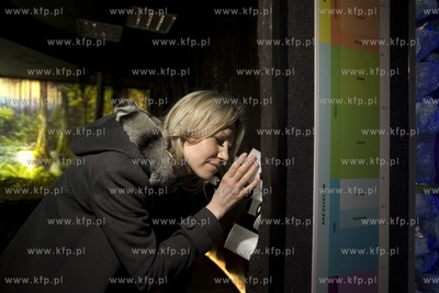 Wizyta kandydatki na fotel prezydenta RP Magdaleny...