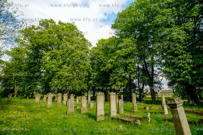 Cmentarz mennonicki w Stogach Malborskich na Żuławach....