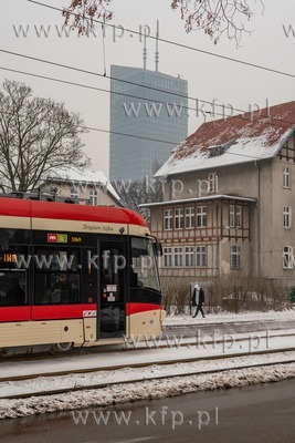 Zima w Oliwie. 19.01.2021 / fot. Anna Rezulak / KFP