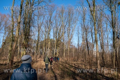 Spacer przyrodniczy pod lesie w Brzeźnie, w ramach...