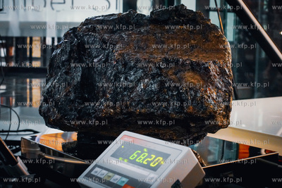 Gdańsk. Muzeum Bursztynu. Oficjalną próbę ustanowienia...