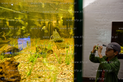 Sopot. Budynek dawnego klubu nocnego Enzym. Nowo otwarte...