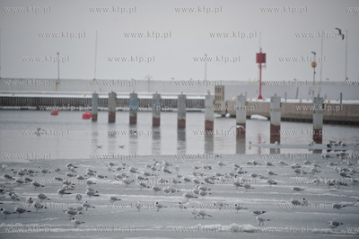 Gdynia. Niedzielne, wielkanocne popoludnie w porcie...