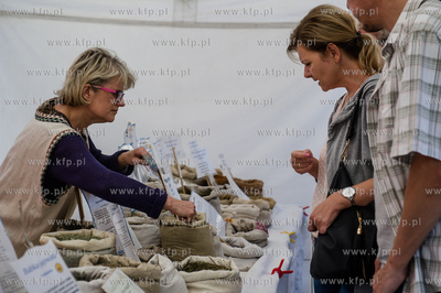 Gdańsk. Targ Węglowy. O Kuchnia! Festiwal gotowania.
17.09.2016
fot....