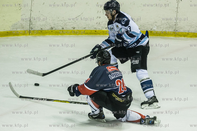Gdańsk. Hala Oliwia. Polska Hokej Liga. Mecz o utrzymanie...