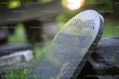 Gdańsk. Lapidarium w parku Akademickim. 17.07.2017...