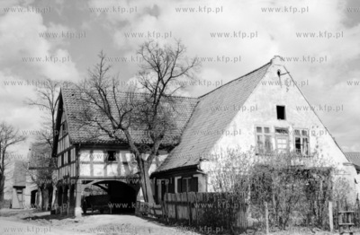Krzywe Kolo - wies na Zulawch Gdanskich. Zabytkowy...