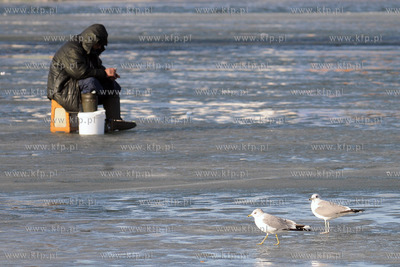 Wedkarze podlodowi lowia ryby w przereblach w okolicy...