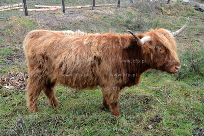 11.11.2013 o godz. 11:11 otwarto ZOO FARME W Debogorzu,...