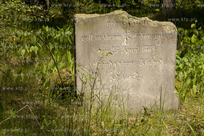 Cmentarz dawnej gminy żydowskiej w Skarszewach, założony...
