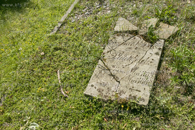 Największy w Polsce, wpisany w 1988 roku do rejestru...