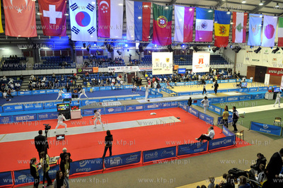Gdansk. Hala AWF. Zawody Dwor Artusa Grand Prix Pucharu...
