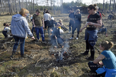 Gmina Lipusz. W Żelewcu nowy las na ziemii należącej...