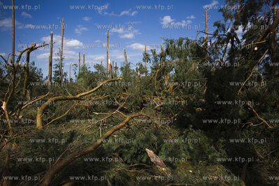 Skutki nawałnicy, która z piątku na sobotę przeszła...