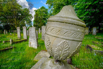 Cmentarz mennonicki w Stogach Malborskich na Żuławach....