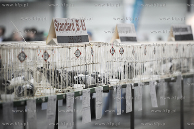 Gdansk. Miedzynarodowe Targi Gdanskie SA. 
6. Miedzynarodowe...