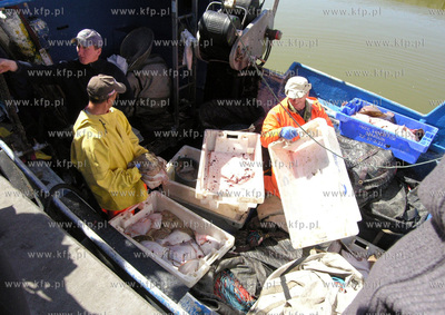 Port w Rowach. Nz rybacy sprzedaja ryby wprost z kutra.
02.05.2009
Fot....