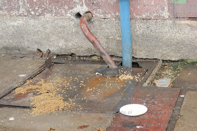 Koci problem w Stoczni Gdynia. Po zamknieciu produkcji...