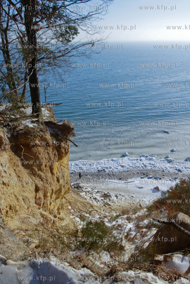 Mrozny poranek w Gdyni Orlowie. Nz. klif  24.01.2010...