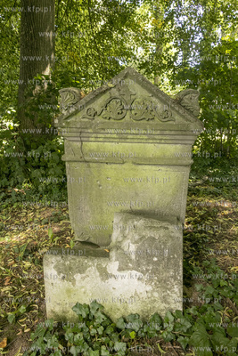 Cmentarz mennonicki z II połowy XVIII wieku w Stawcu...