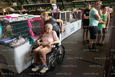 Międzynarodowa wystawa kotów rasowych "Koty na Hawajach"...
