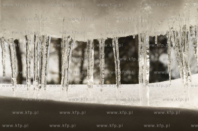 Dobrzewino, wieś na Kaszubach w powiecie wejherowskim....