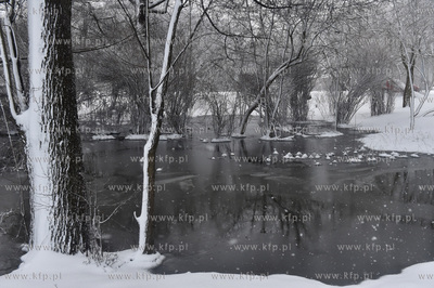 Park Jelitkowski w Gdańsku Jelitkowie. Podniesiony...