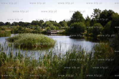 Gdansk. Miejski park w pasie nadmorskim.
09.09.2009
fot....